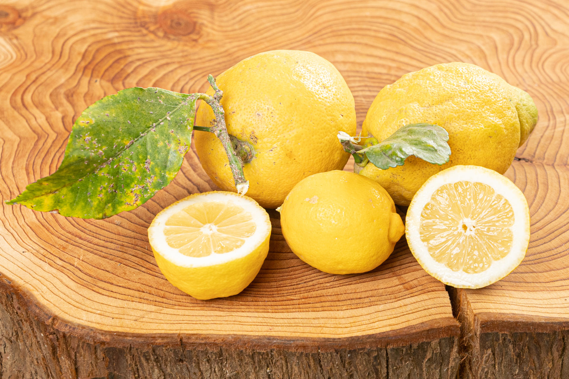 Hahn Zitronen Biofrüchte – Bio 1 ca. 220g Stück